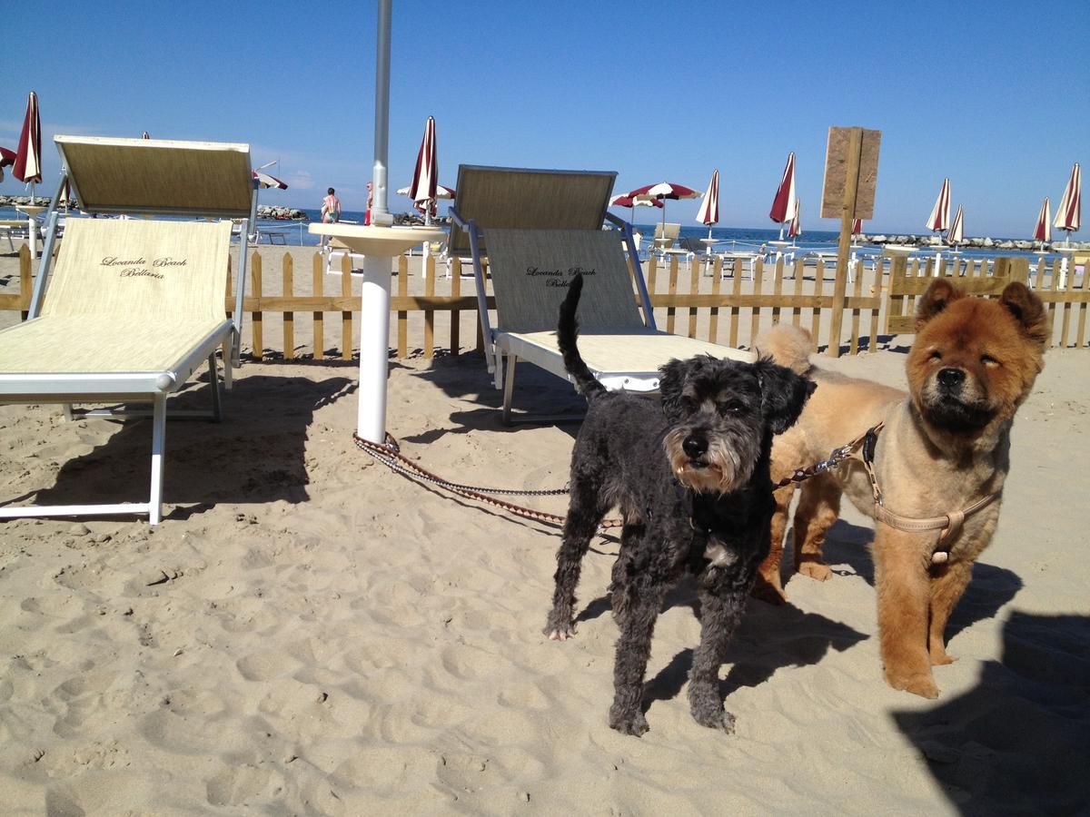 Hotel Locanda Delle Dune Bellaria-Igea Marina Zewnętrze zdjęcie